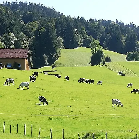 Gemütliche Wohnung in Einfamilienhaus Alberschwende Exterior foto