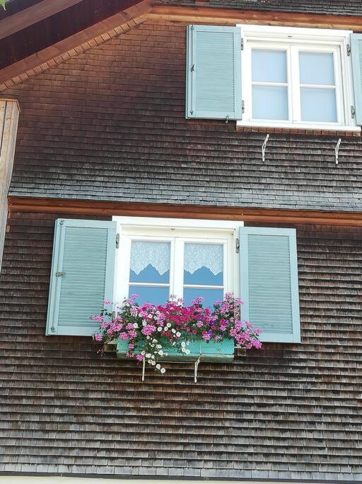 Apartment Gemuetliche In Einfamilienhaus Alberschwende