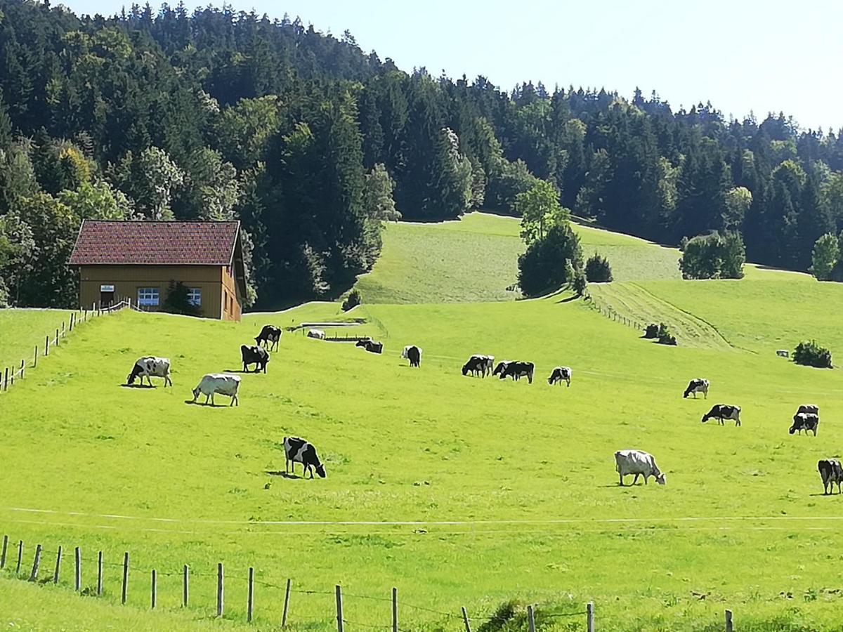 Gemuetliche In Einfamilienhaus